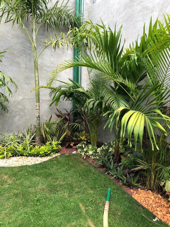 Hotel Suites La Negra Boutique Mérida Eksteriør billede